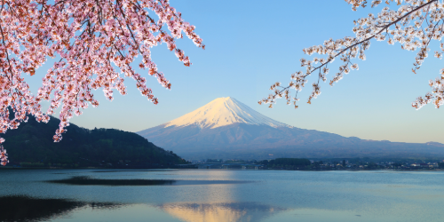 Academic-Families-escorted-trip-japan