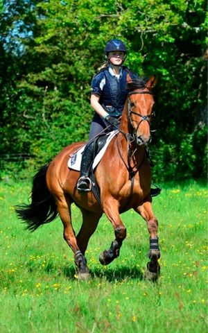 Mayfield-girls-boarding-school-uk-horse-riding-equestrian
