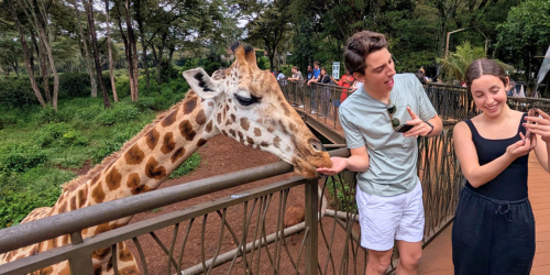 academic-families-trips-kenya